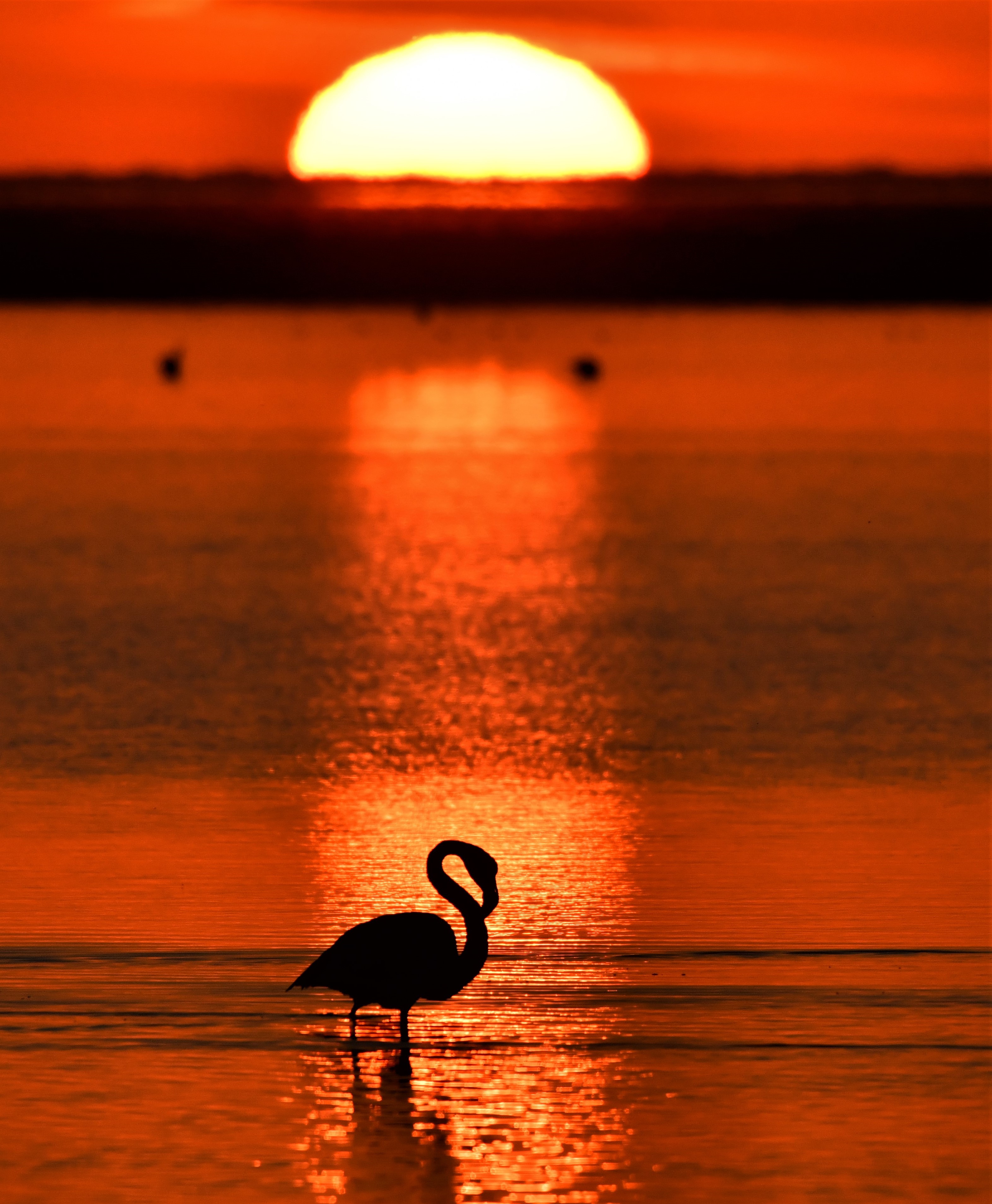 Atardecer_-_copia.JPG
