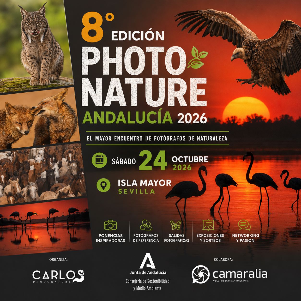Cartel_Photo_Nature_2026_cuadrado_.jpg