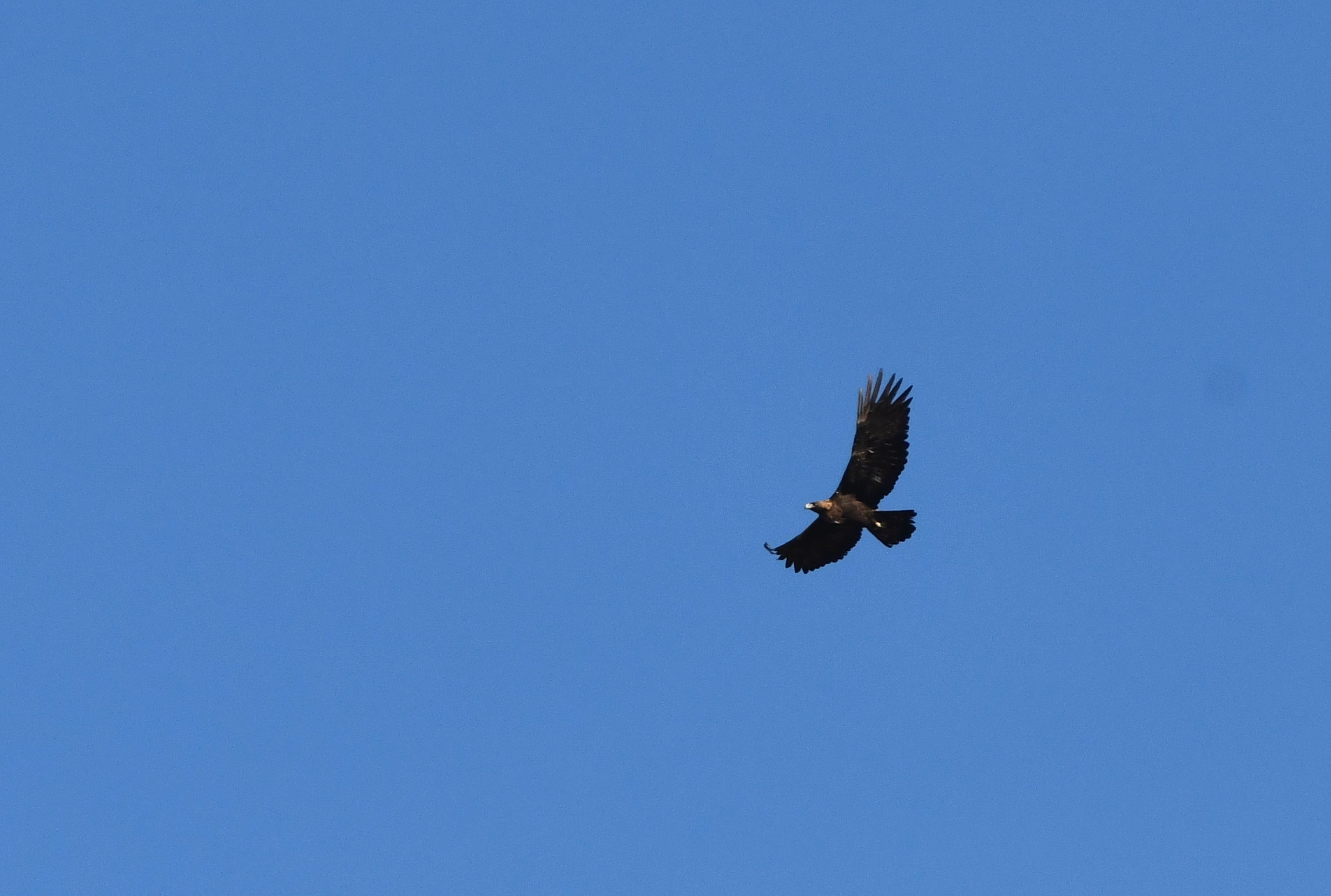 DSC_0662.JPG