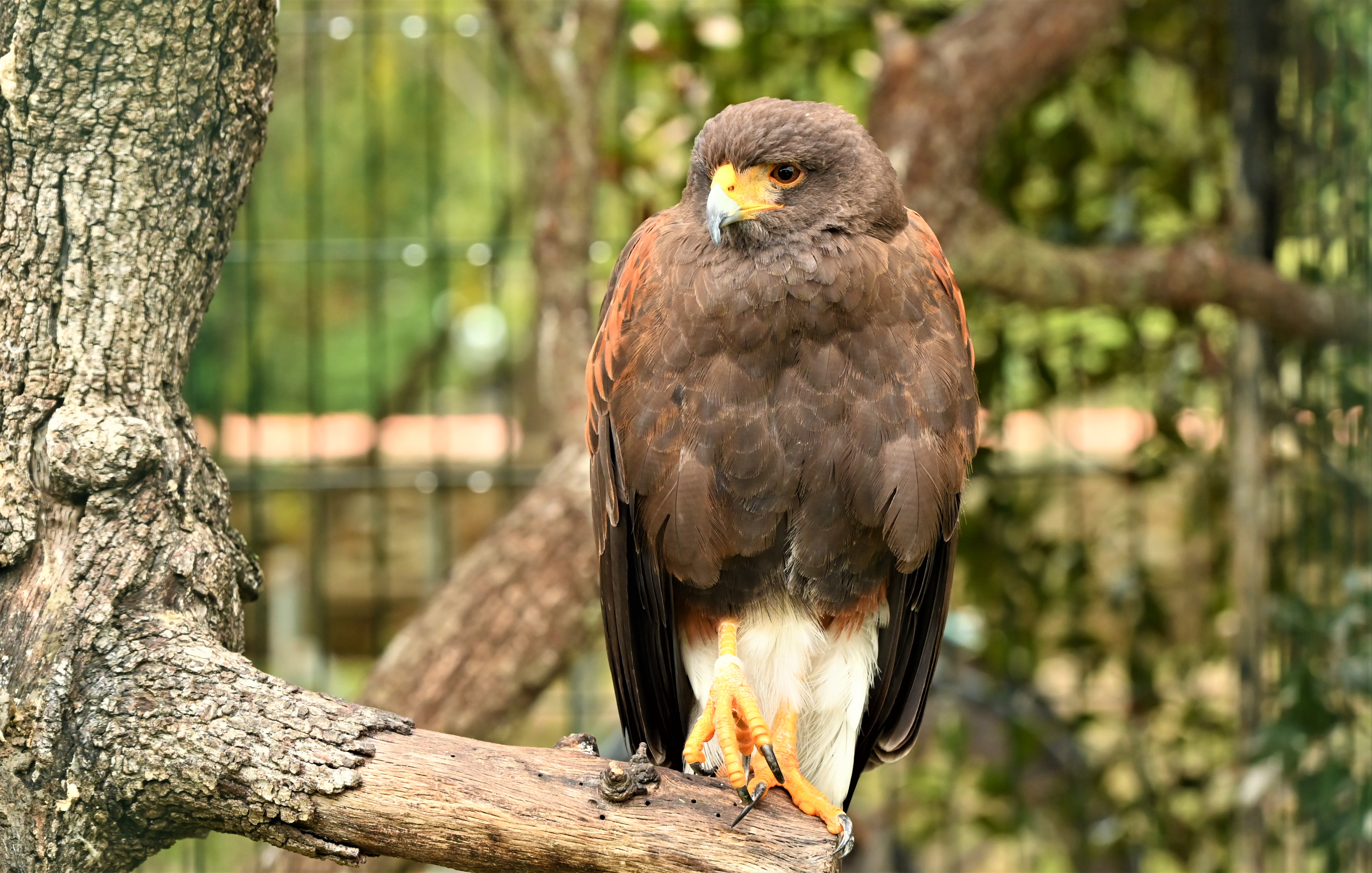 DSC_1002.jpg