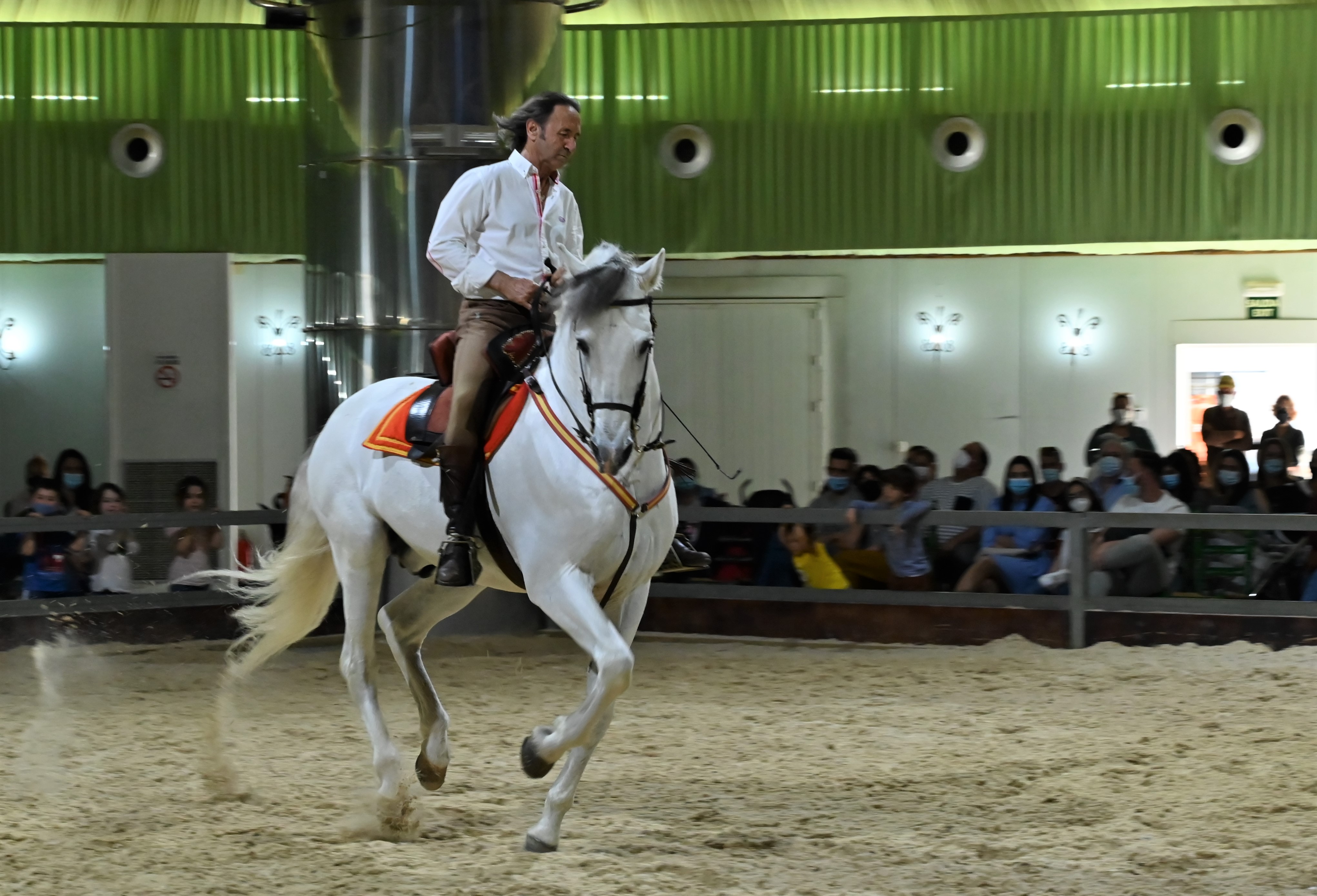 DSC_1313.jpg