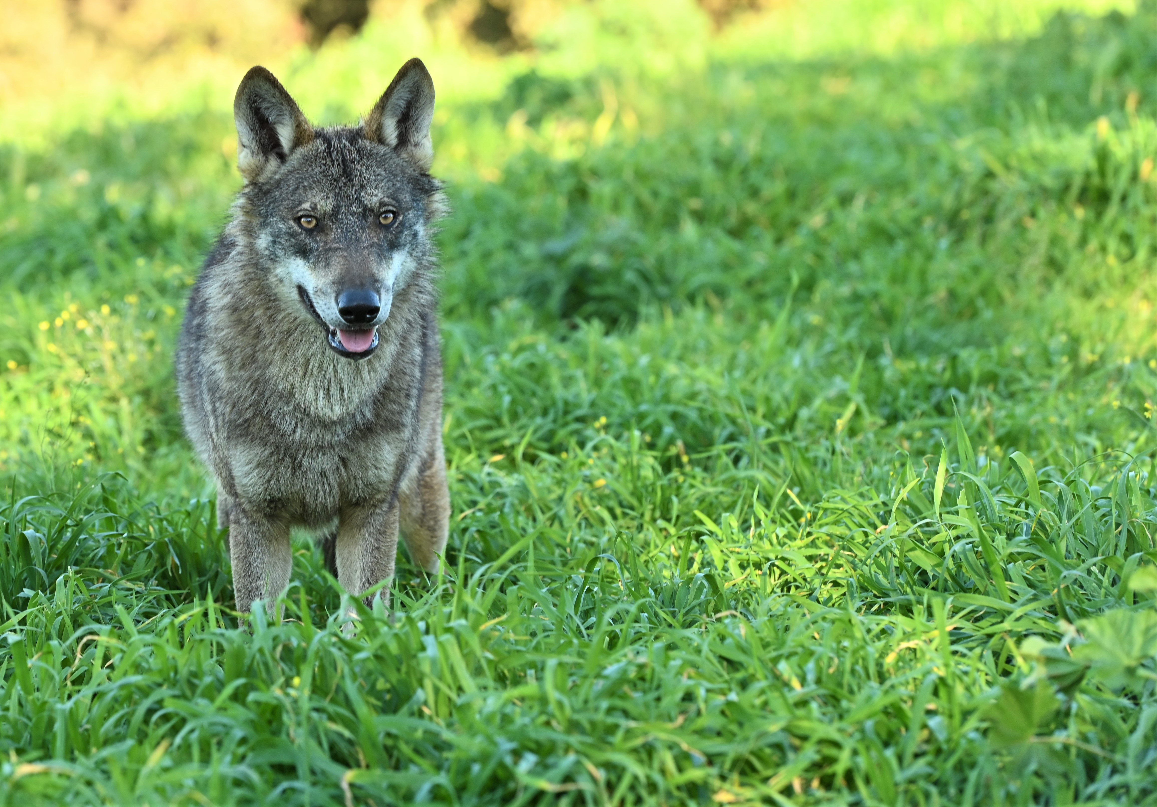 DSC_1414.jpg