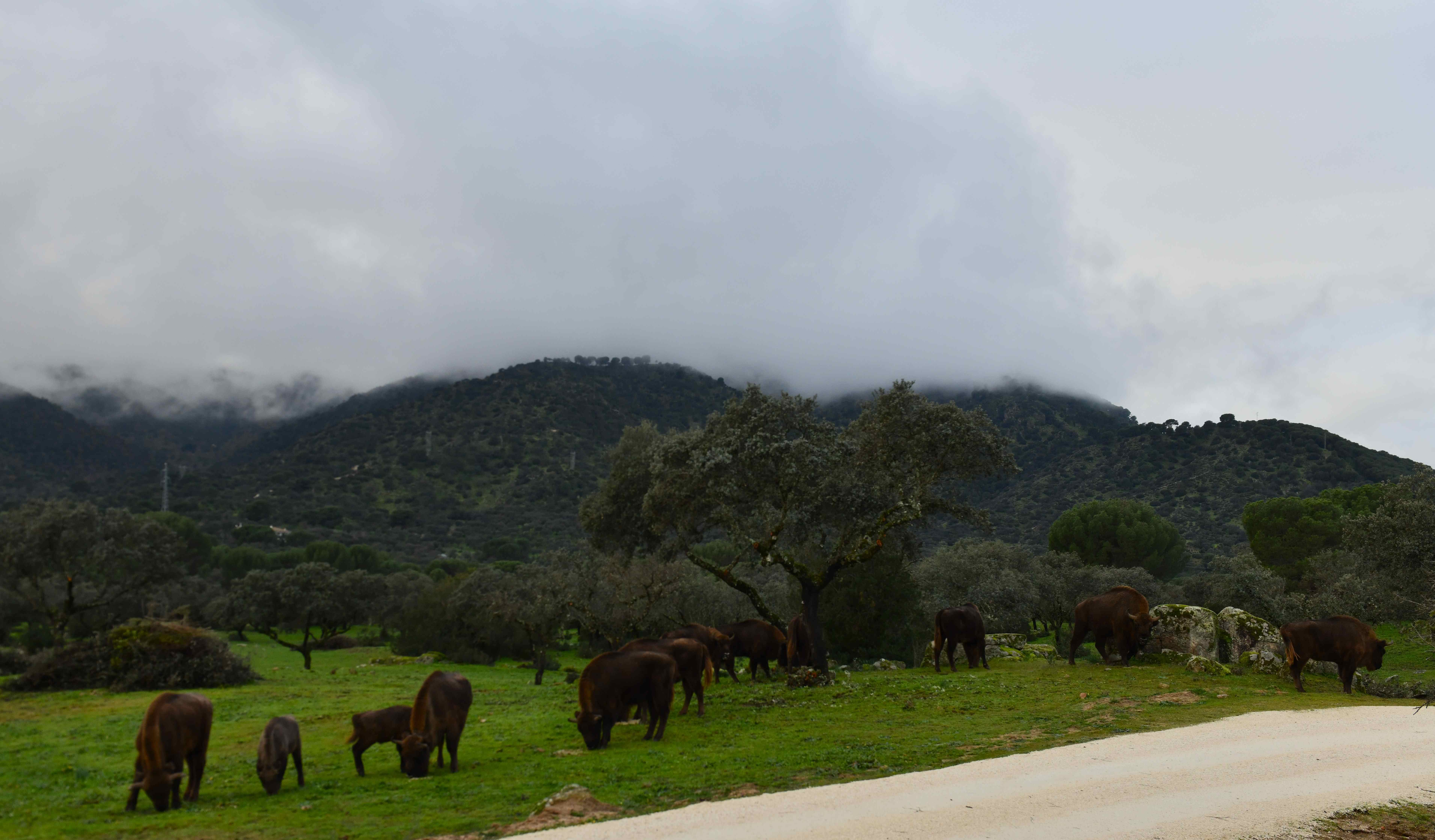 DSC_1639.JPG