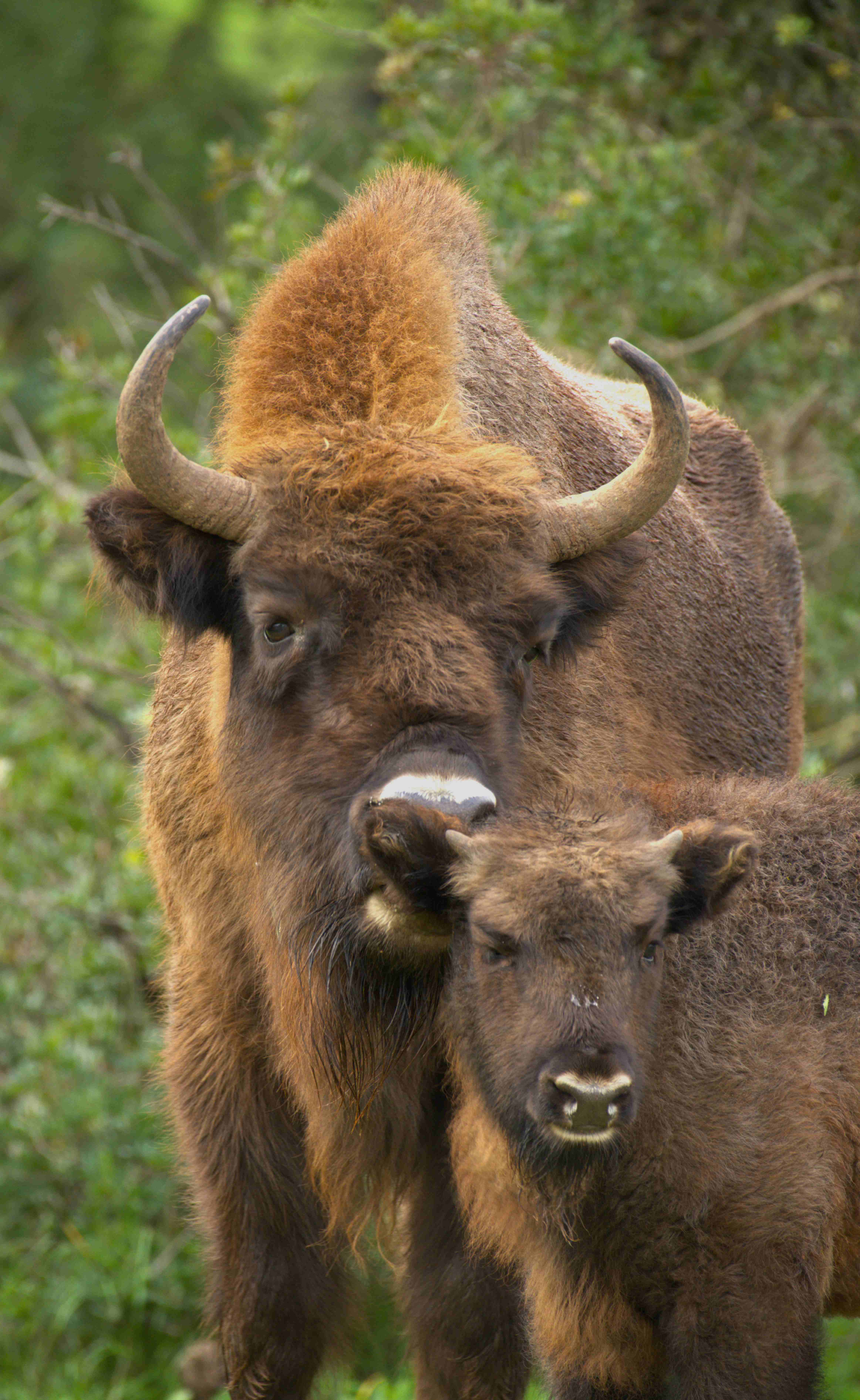 DSC_1803.jpg