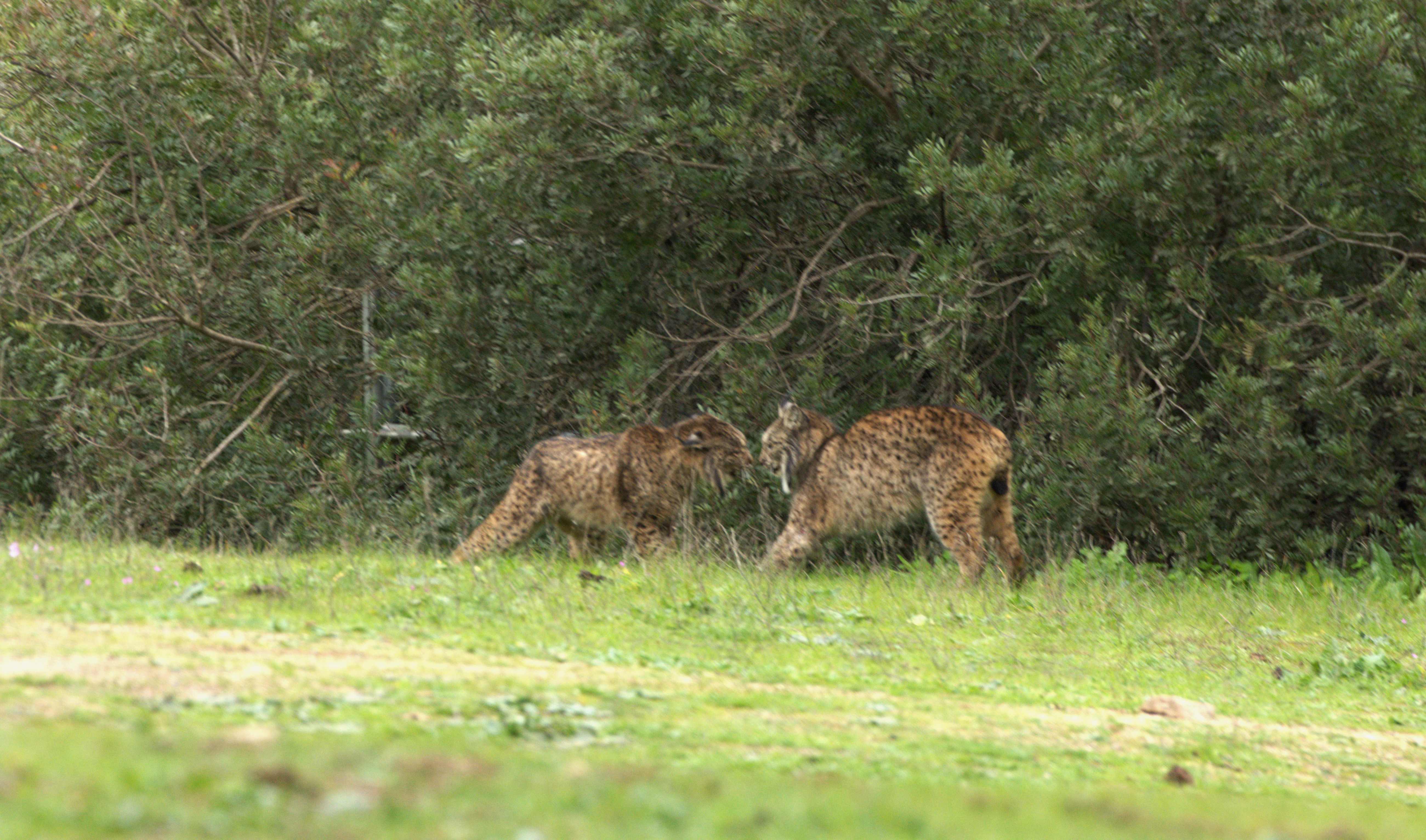 DSC_1976.jpg