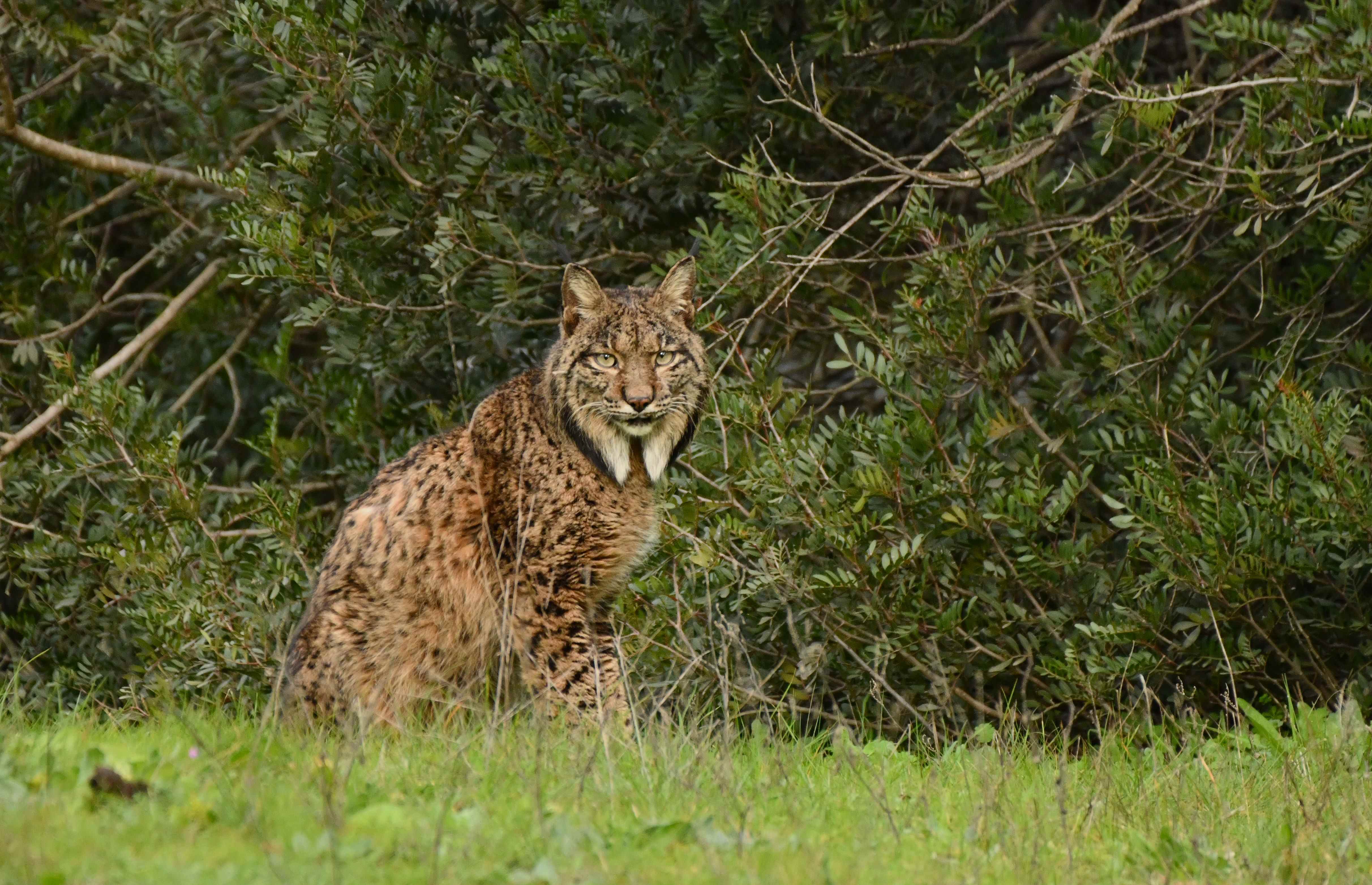 DSC_2058.JPG