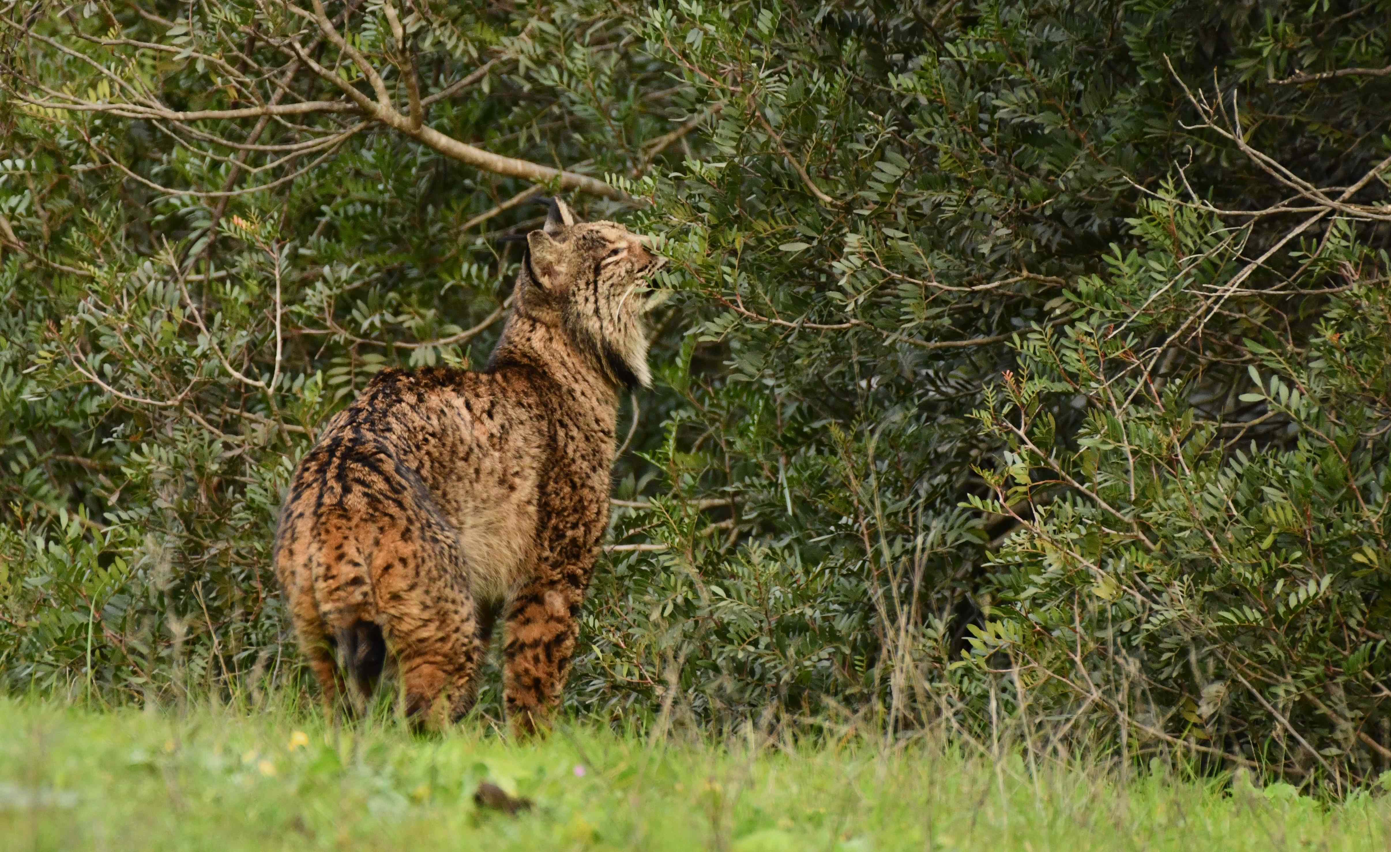 DSC_2070.JPG