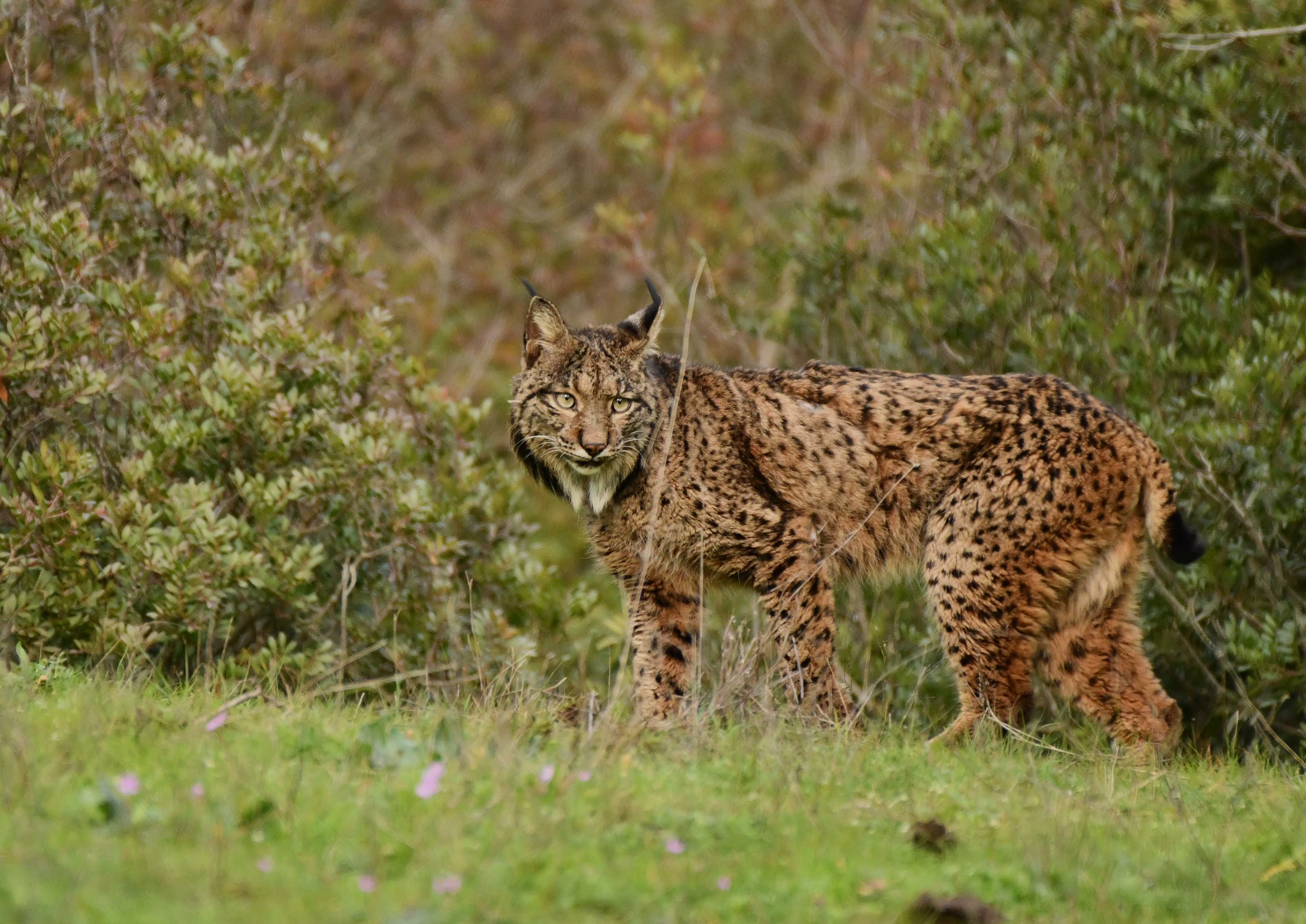 DSC_2079.JPG