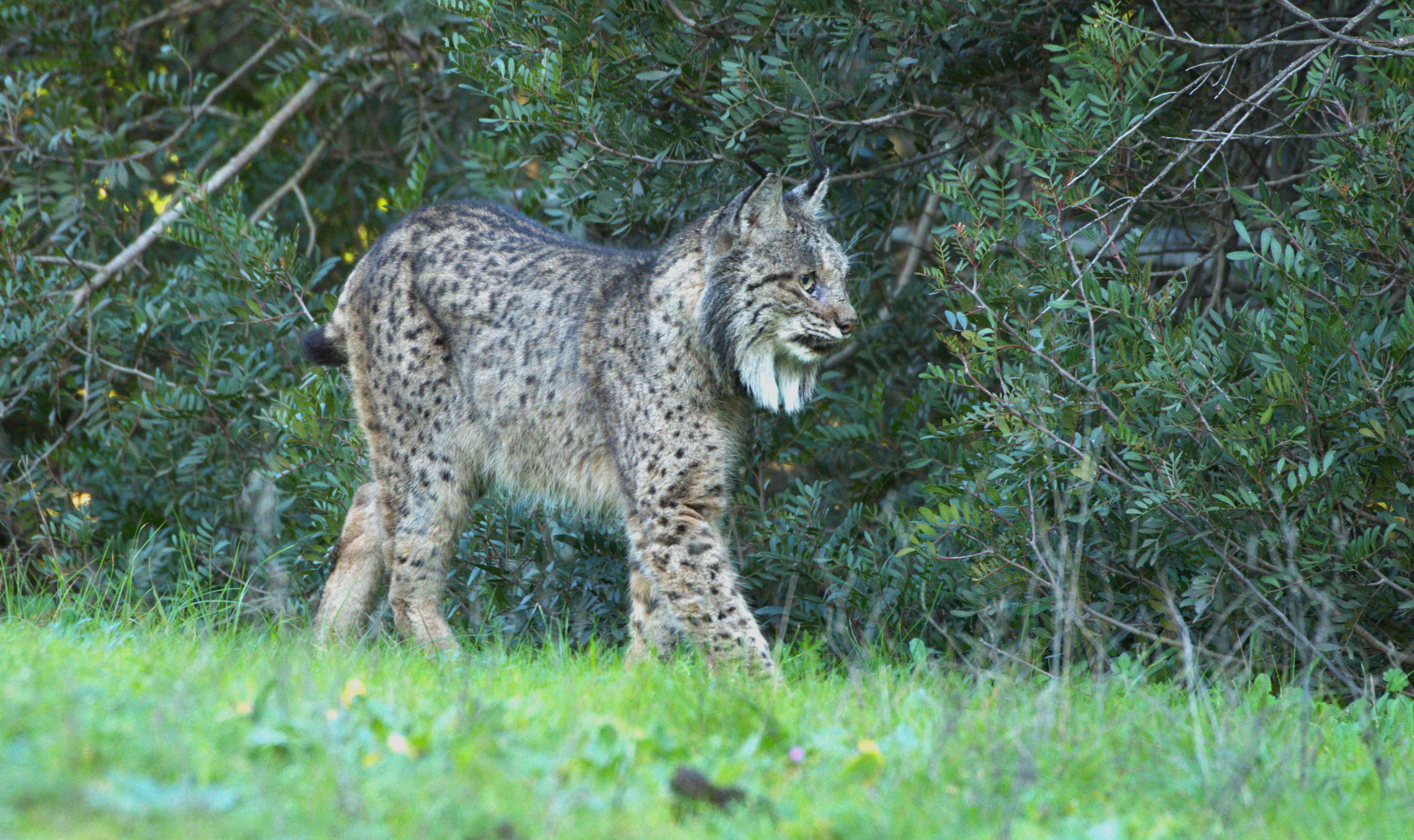 DSC_2136.jpg