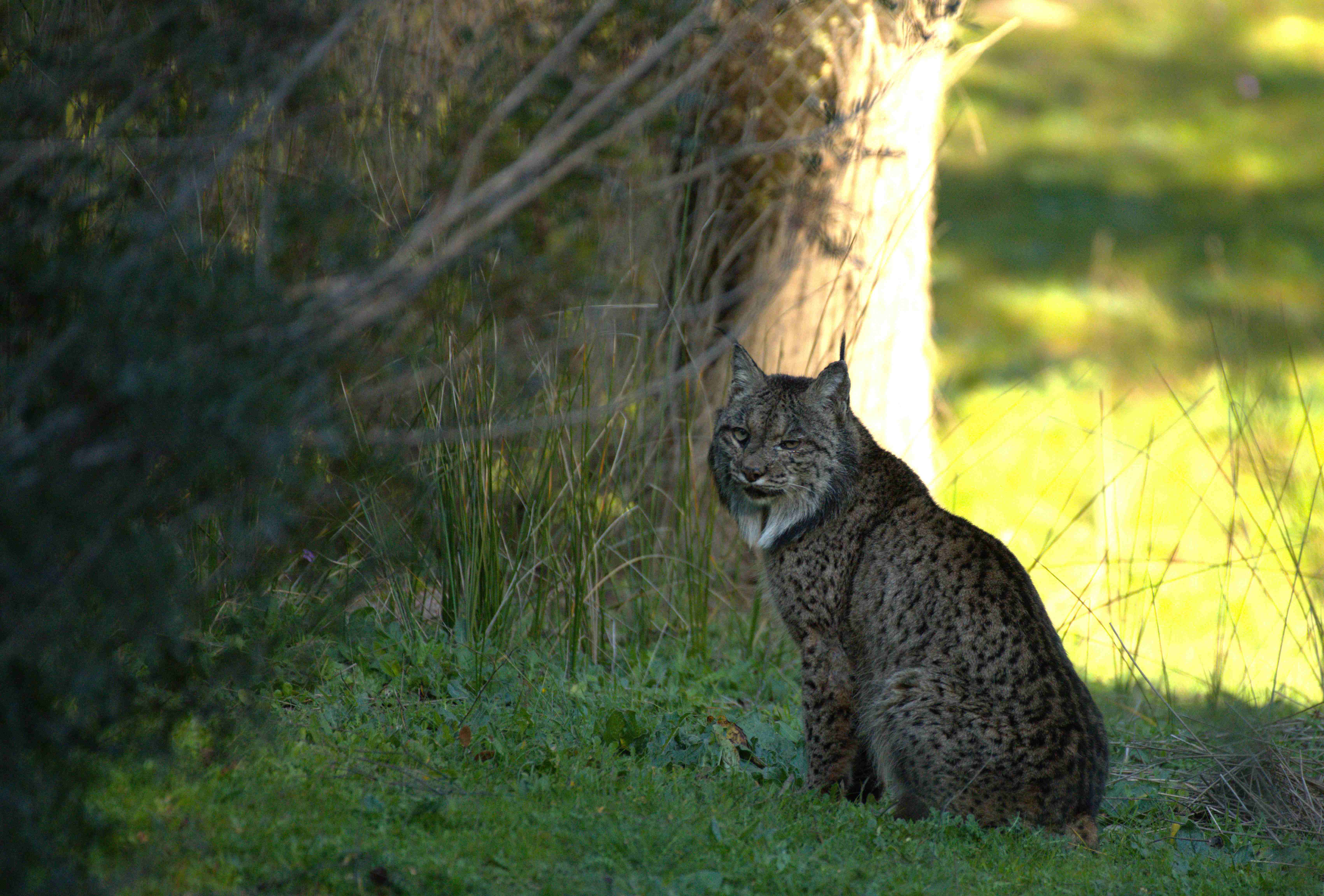 DSC_2158.jpg