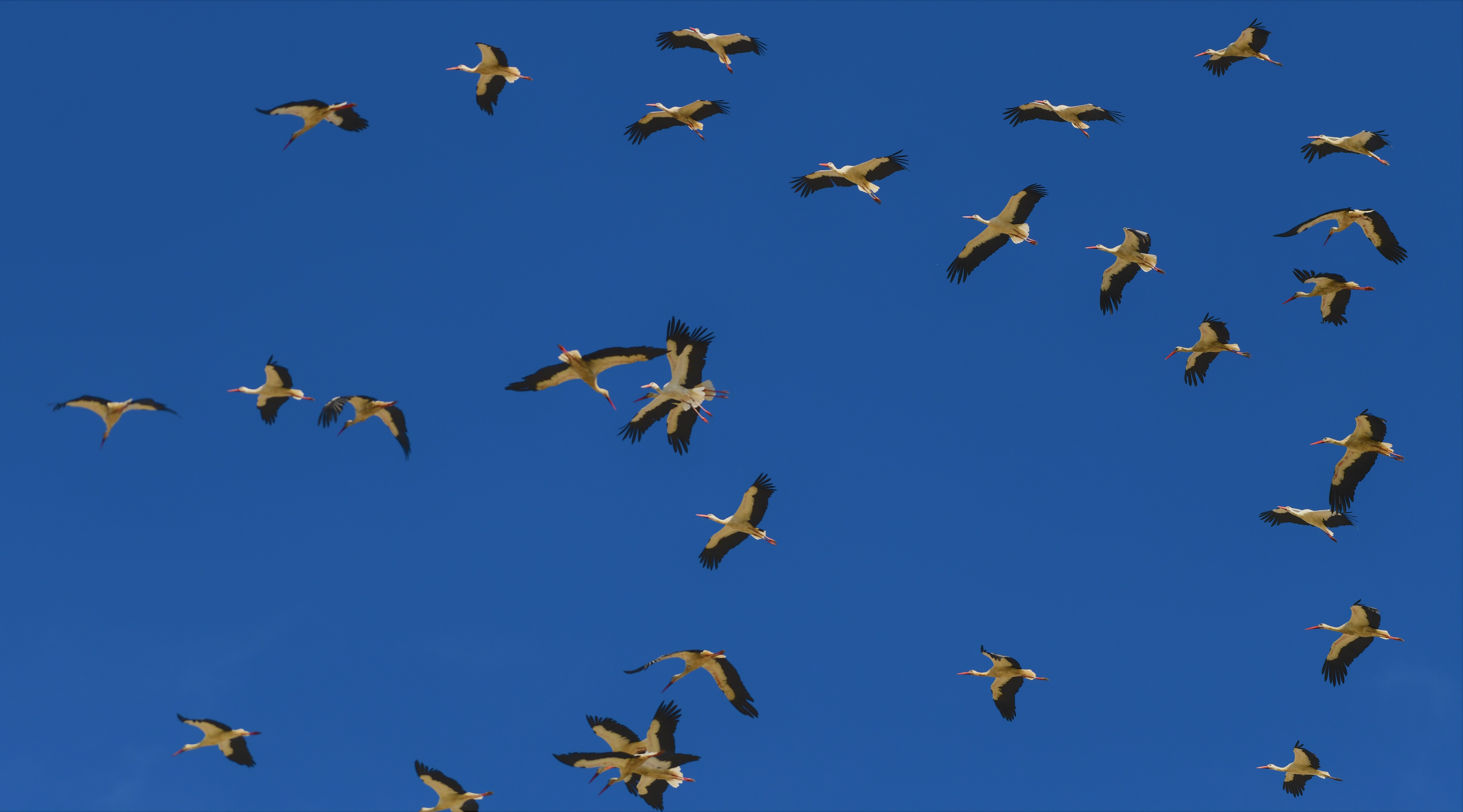 DSC_3895.jpg