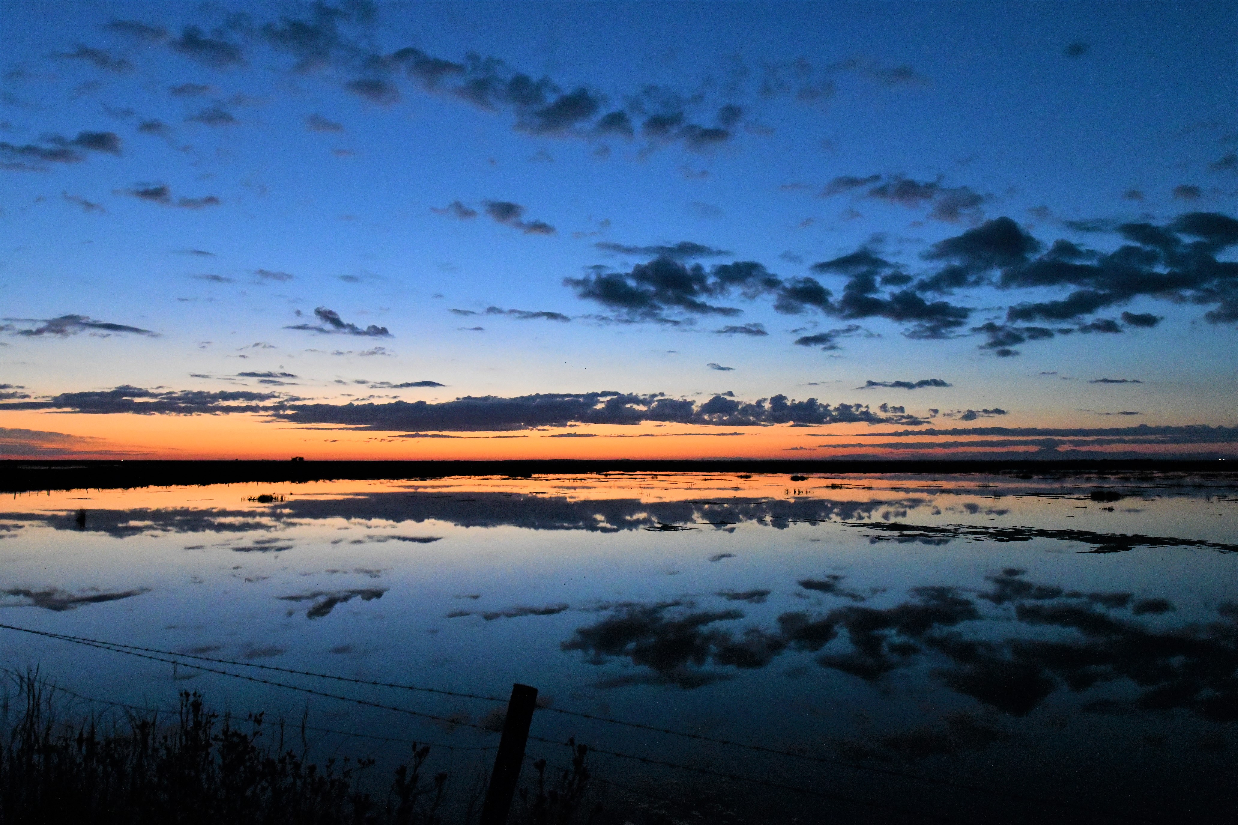 DSC_5957.jpg