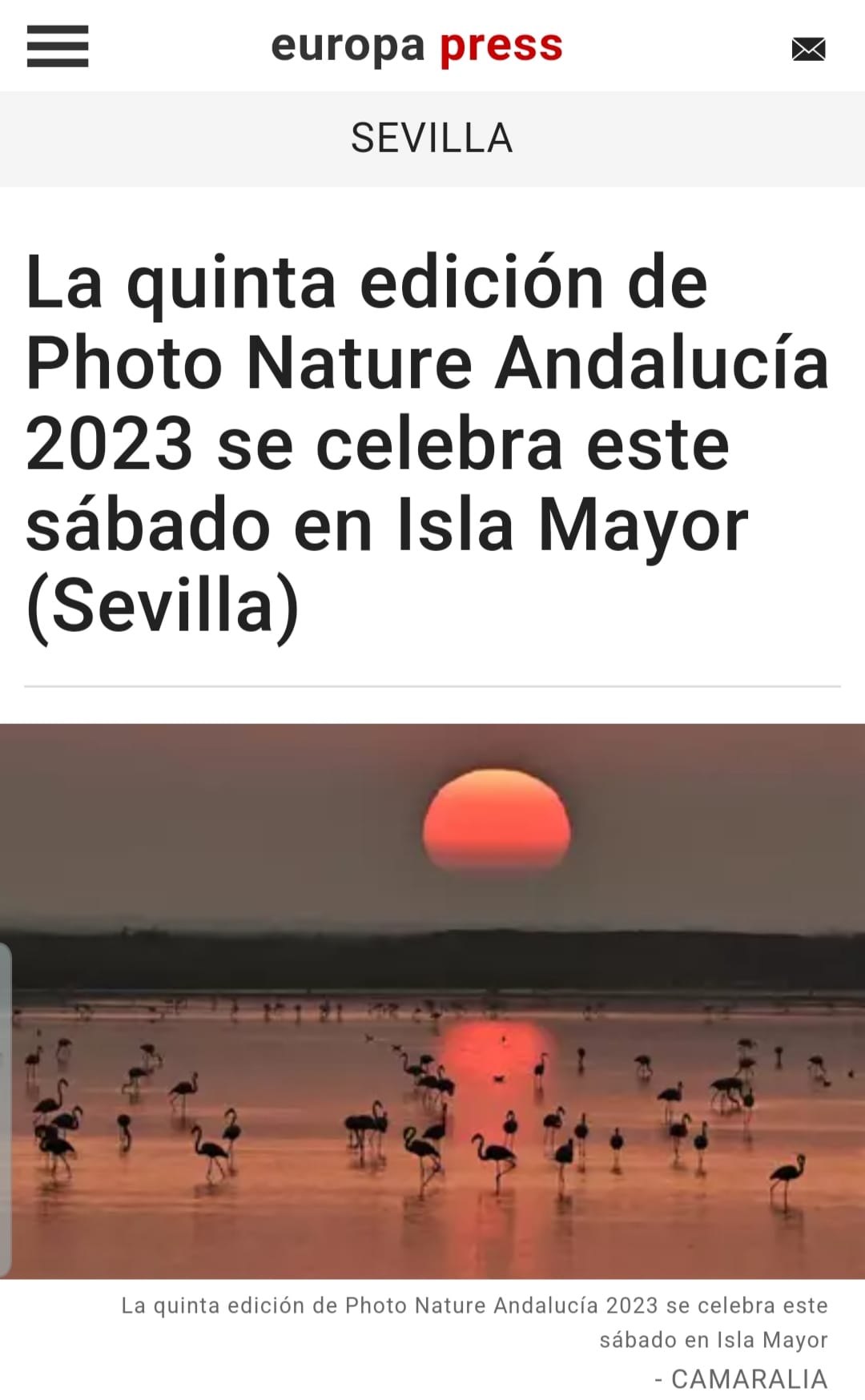 Imagen_de_WhatsApp_2023-10-22_a_las_08.27_.50_59783fc6_.jpg