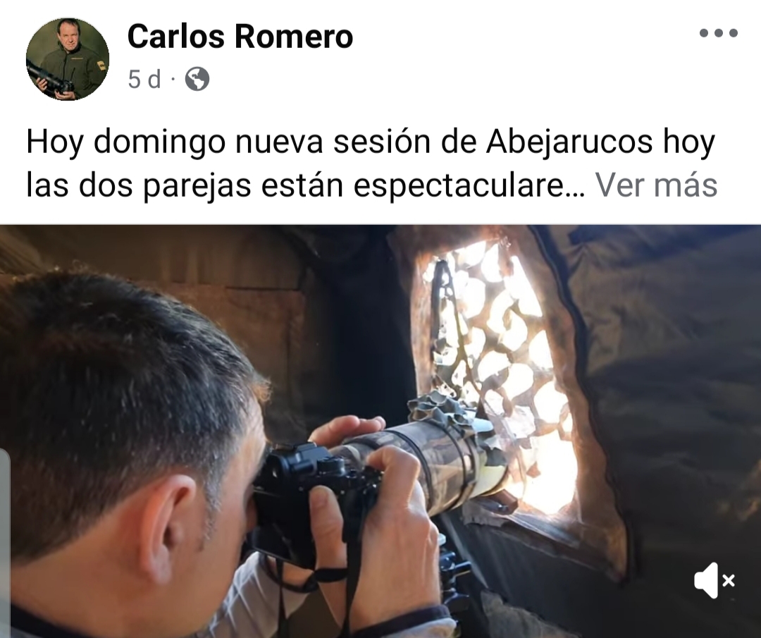 Imagen_de_WhatsApp_2025-05-10_a_las_18.38_.29_d13edd5e_.jpg