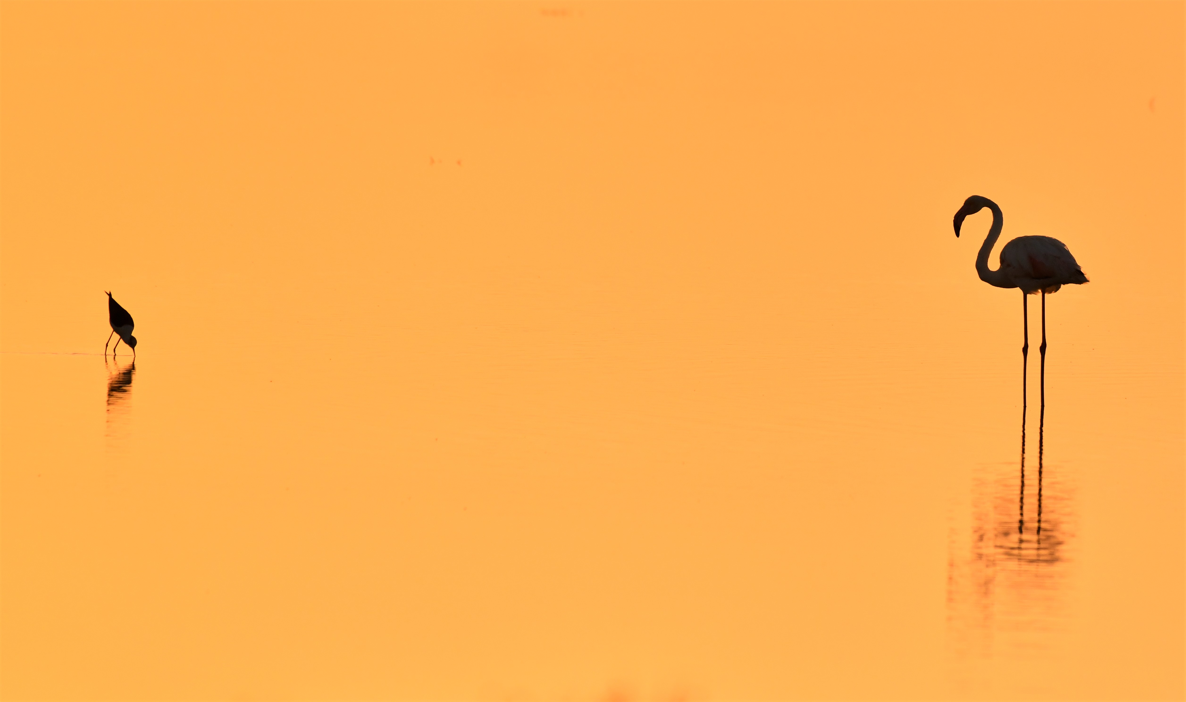 M37.JPG