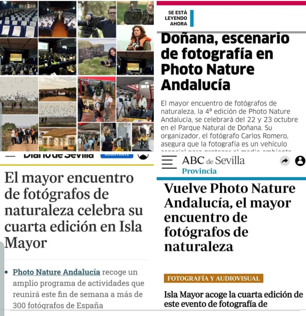PRENSA1.jpg