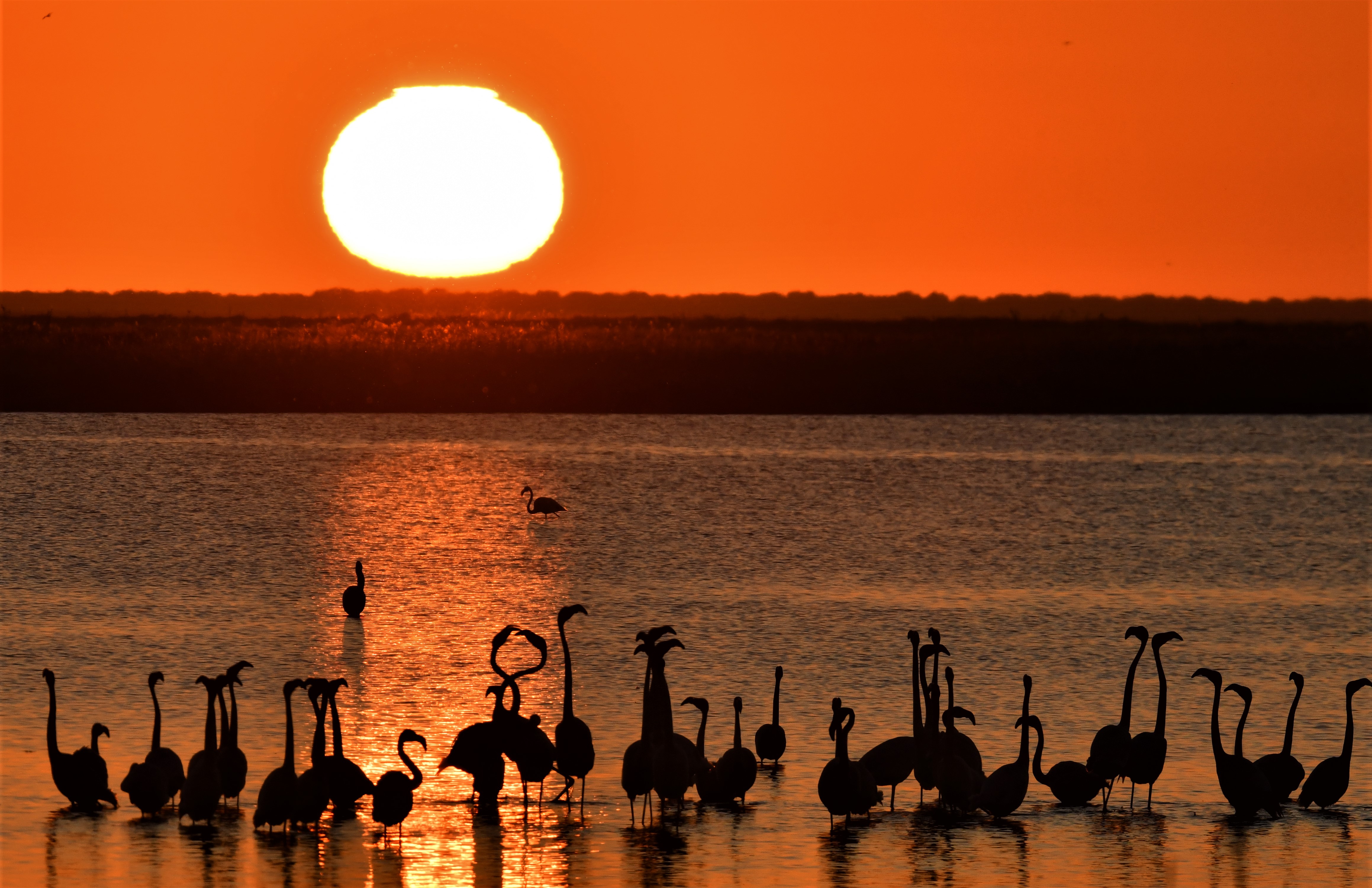 amor_al_atardecer_8_.jpg