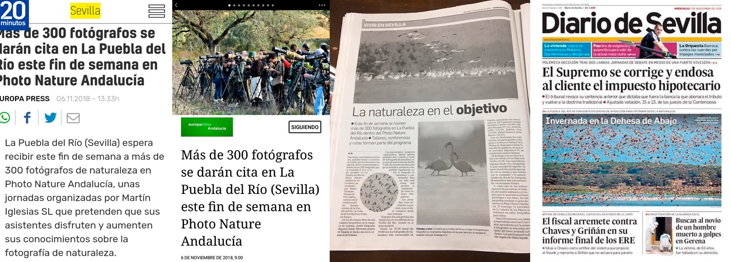 collage.jpg