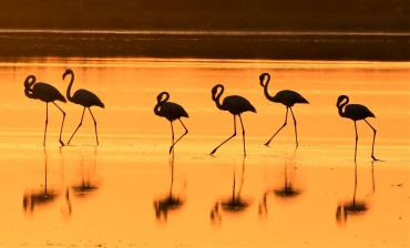 Atardecer de ensueño durante taller fotográfico 23 septiembre 2023 