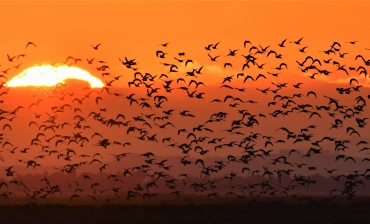 Fotógrafos en acción en Doñana y Taller La Magia de Andújar