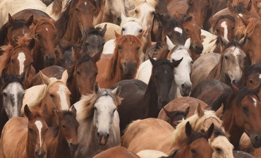 Las mejores imágenes  