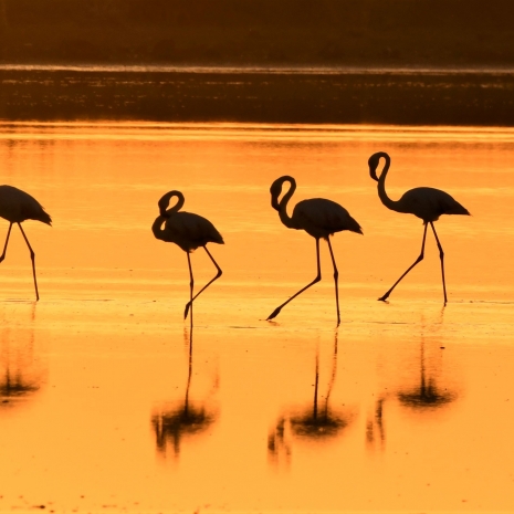 Atardecer de ensueño durante taller fotográfico 23 septiembre 2023 