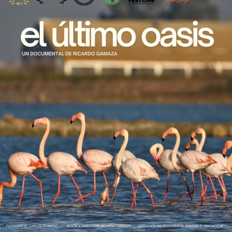 El Último Oasis 