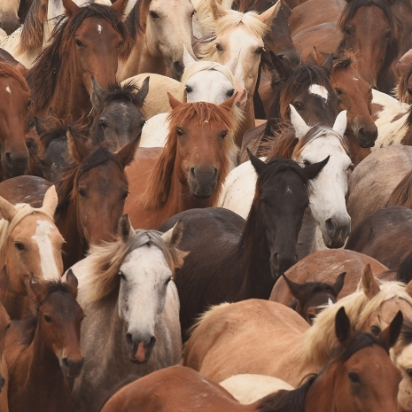 Las mejores imágenes  