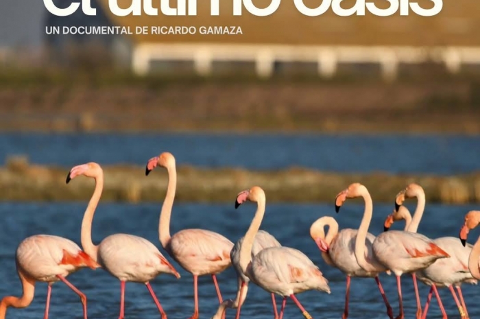 El Último Oasis 