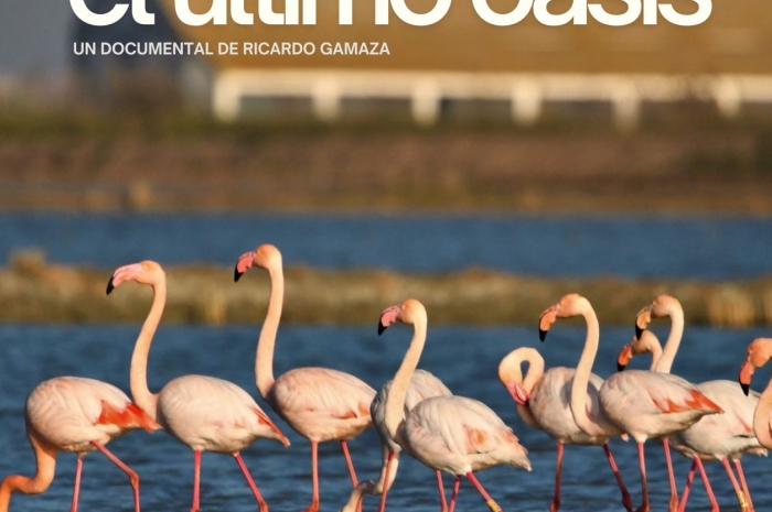 El Último Oasis 