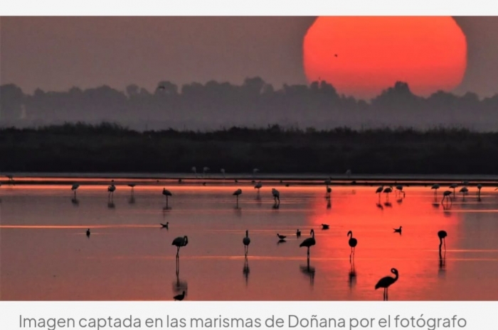 Entre marismas y amaneceres: la mirada del fotógrafo Carlos Romero sobre la vida salvaje de Doñana