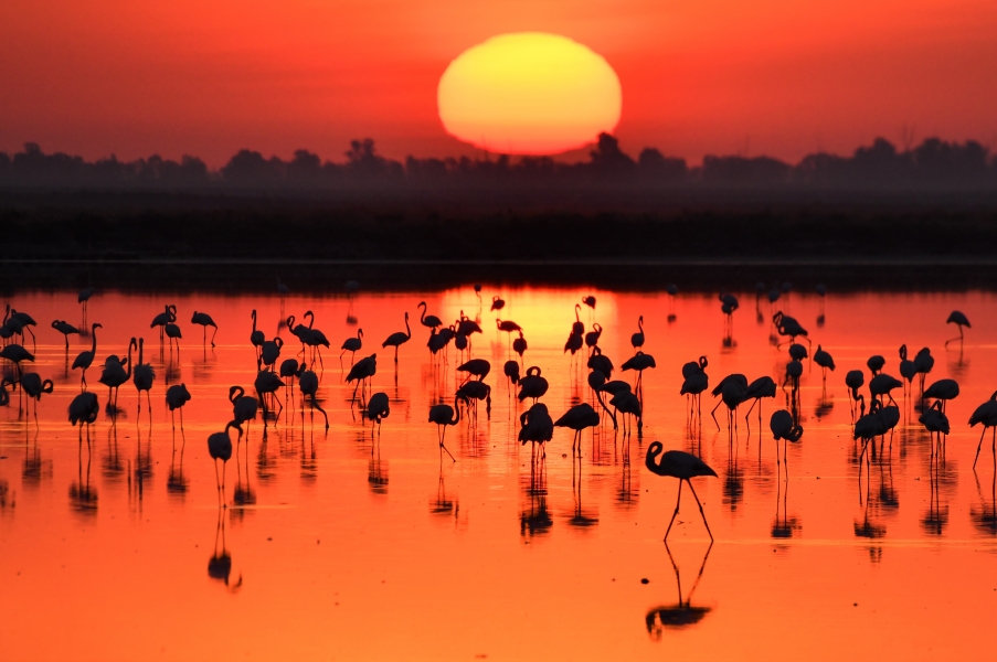 Algunos consejos para fotografiar amaneceres y atardeceres 
