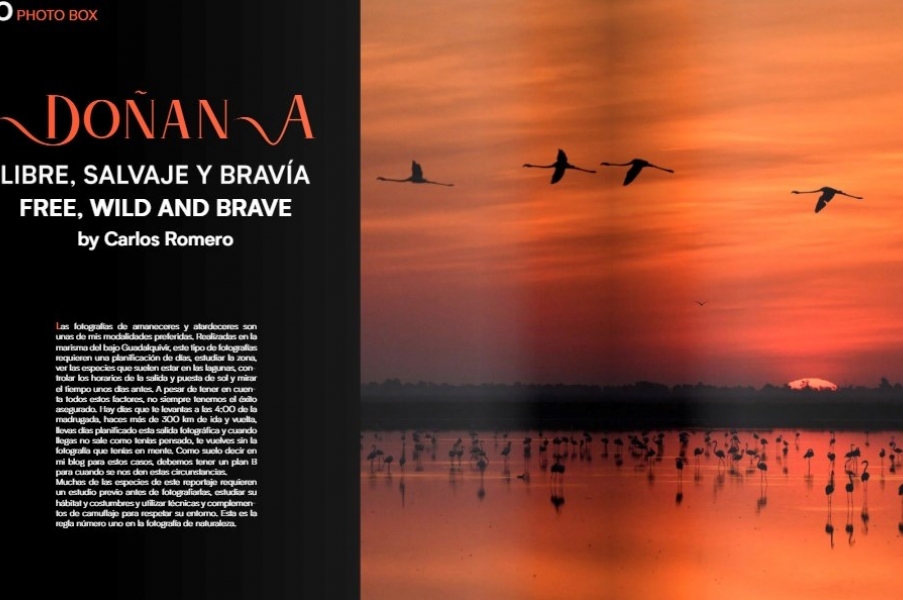 Doñana Libre. Salvaje y Bravía