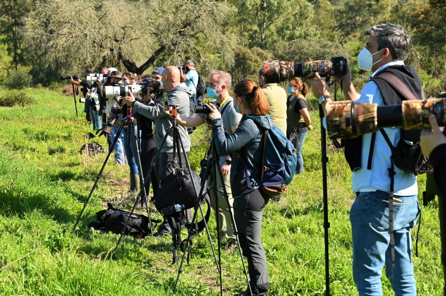 Fotógrafos por la conservación del lobo 