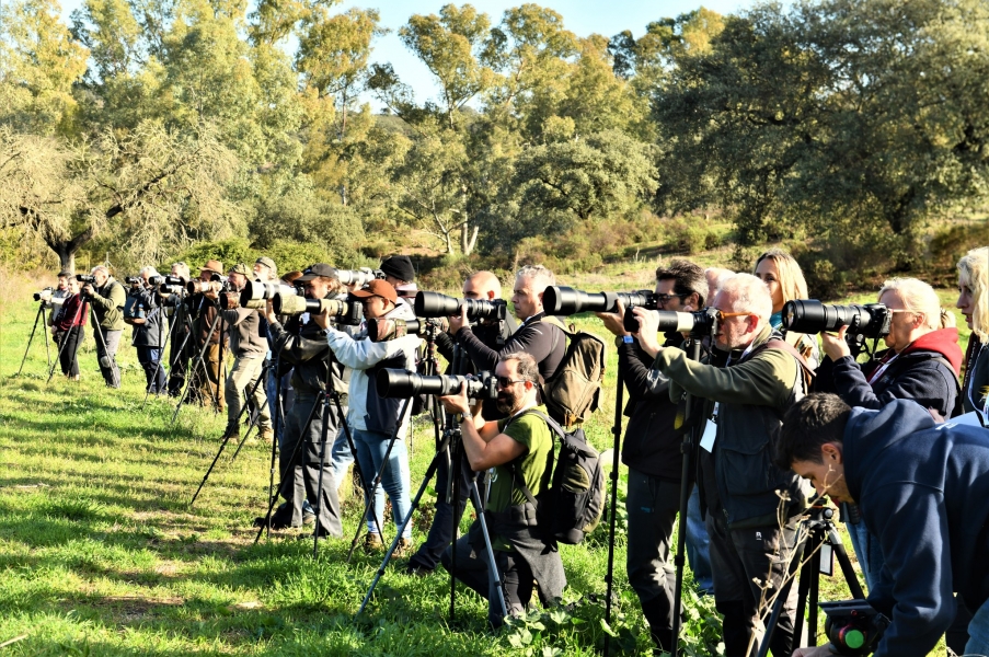Fotógrafos por la conservación lobo ibérico taller 19 noviembre 2022   