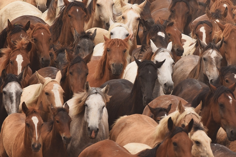 Las mejores imágenes  
